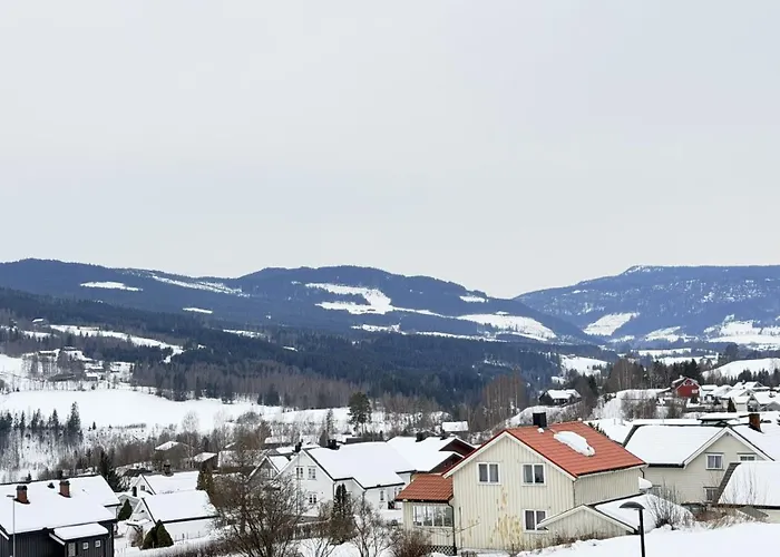 Apartman Spacious In Follebu *